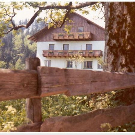 Ferienwohnung Haus Einhirn 알타우시 외부 사진